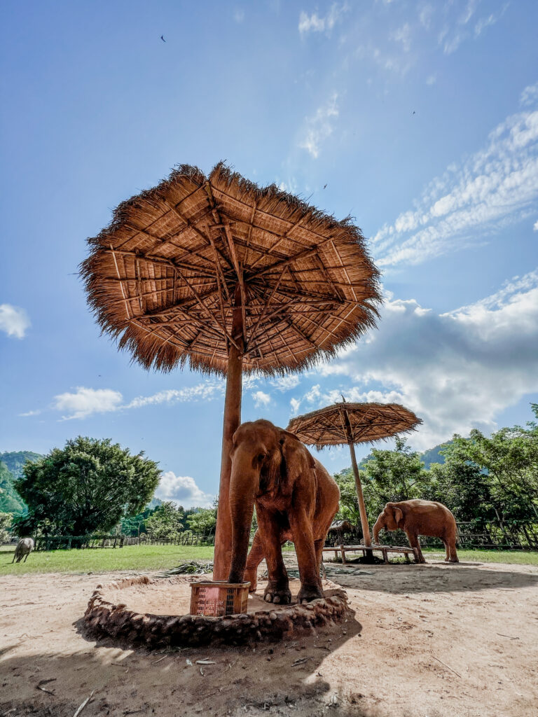 Chiang Mai met kleine kinderen 1