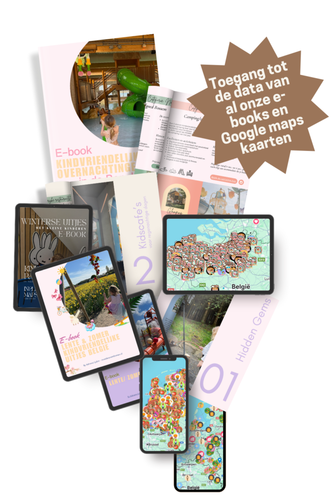 De gezins-assistent ai 4